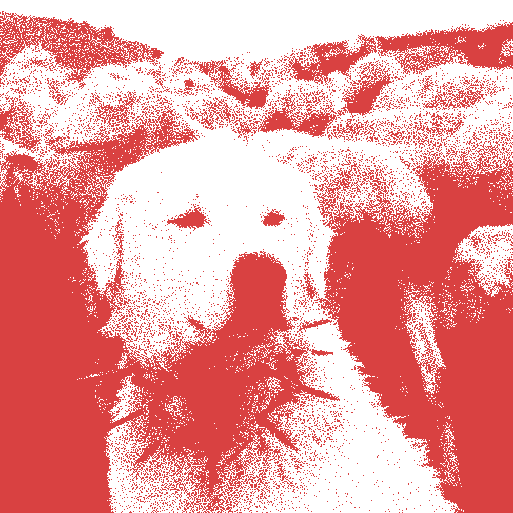 part of the red and white series <br>