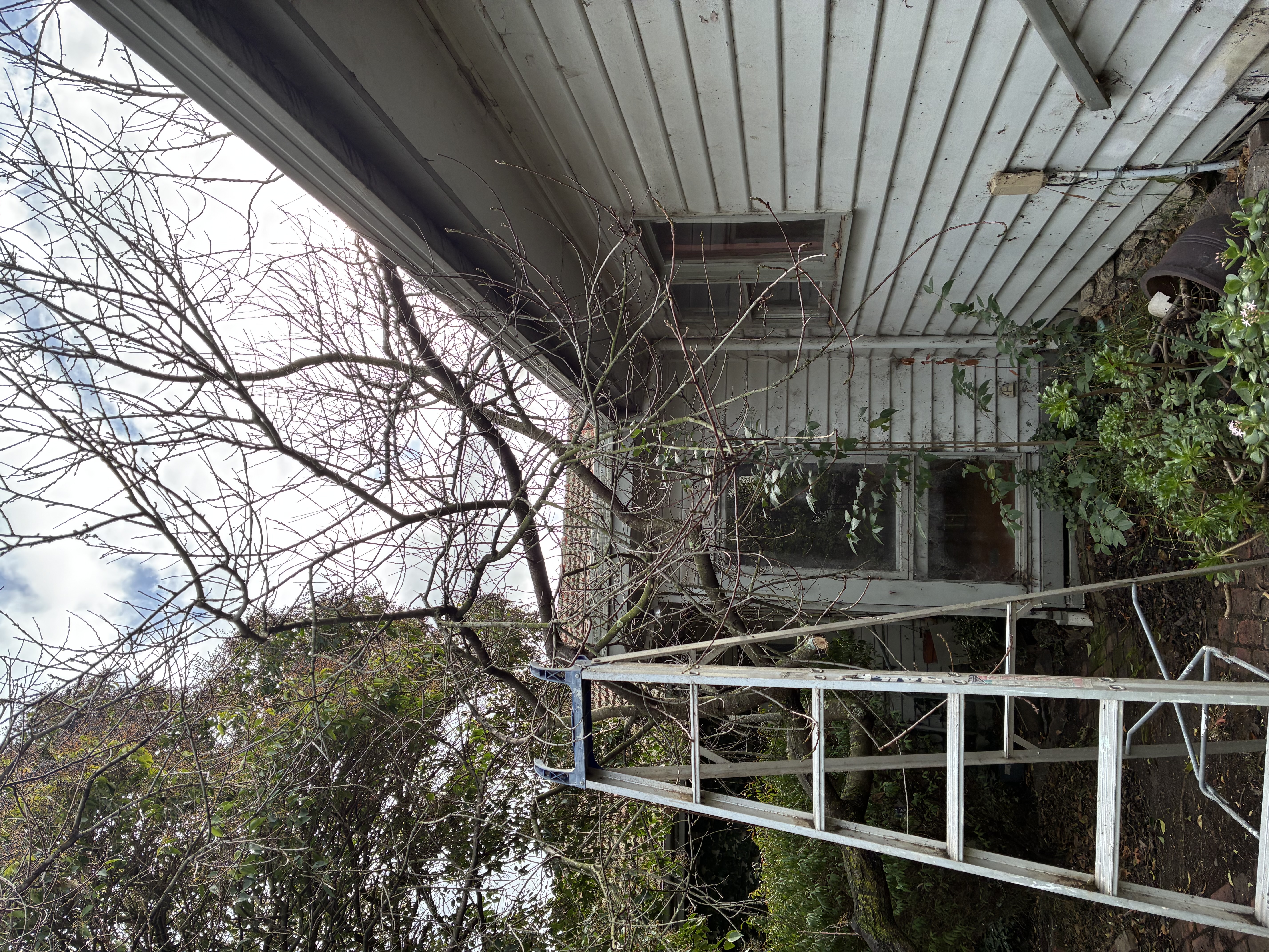 Before