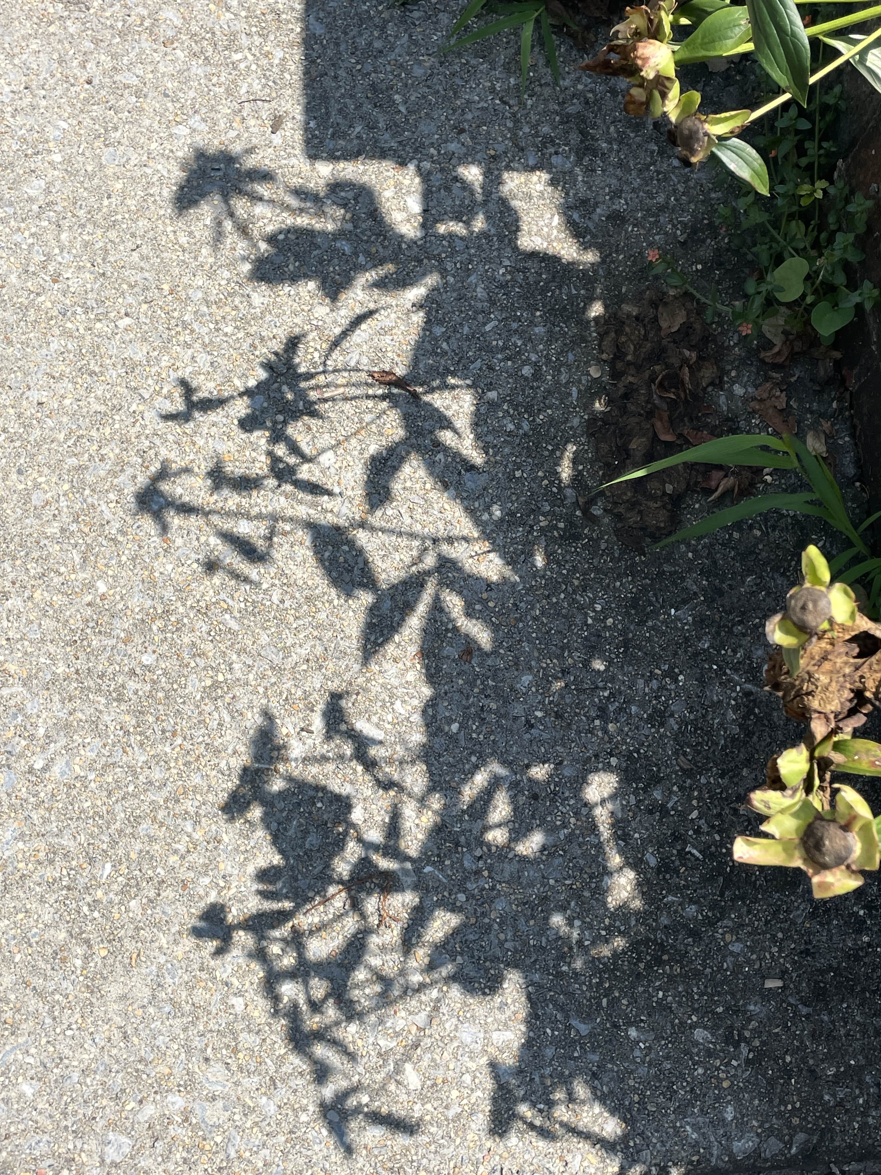 ~~~