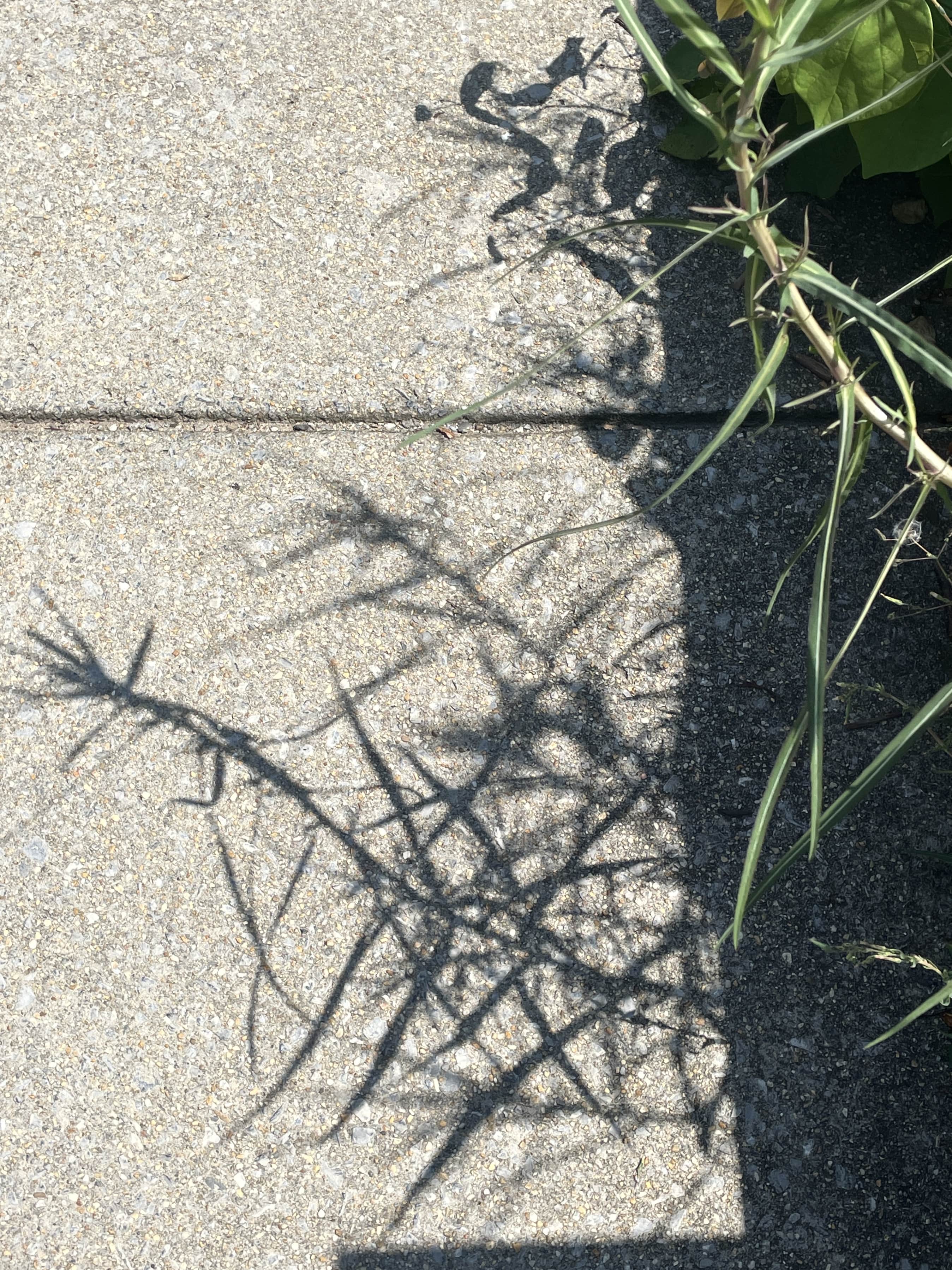 ~~~