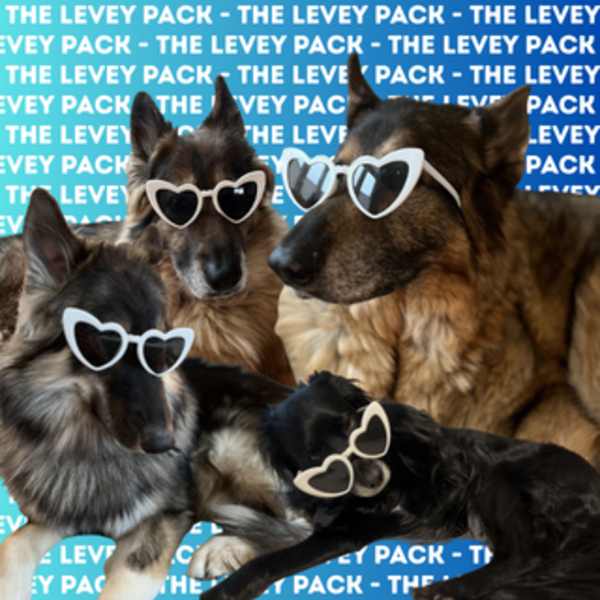 The Levey Pack