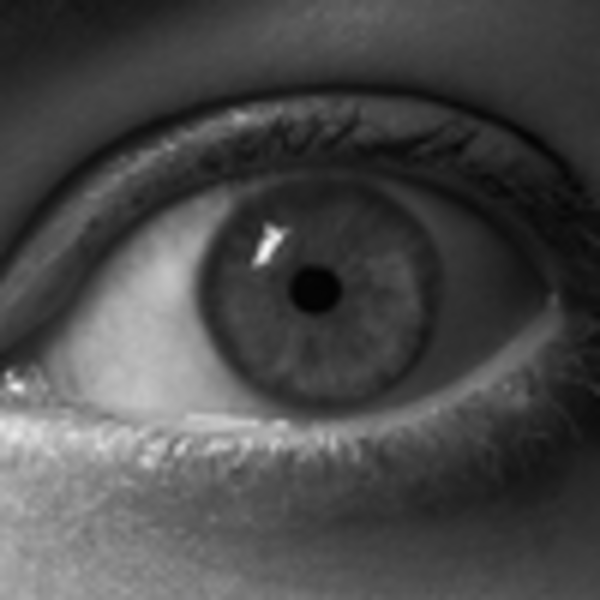 Squarespace x Emma Stone