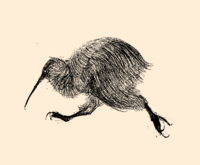Rudy Karath's profile picture