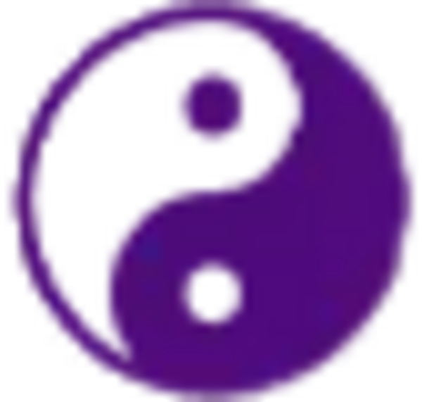 Bright Path Wellness and Acupuncture 