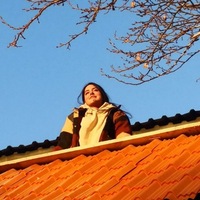 rozhan - Author