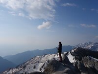 Wing's profile picture