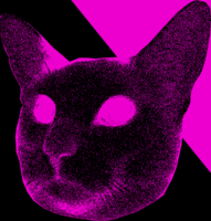 David Olivera - Author