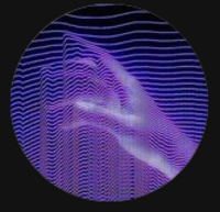 Marcel Syroka's profile picture